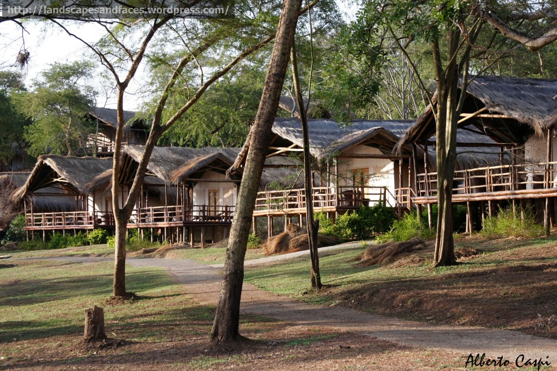 Cabins by the Nile