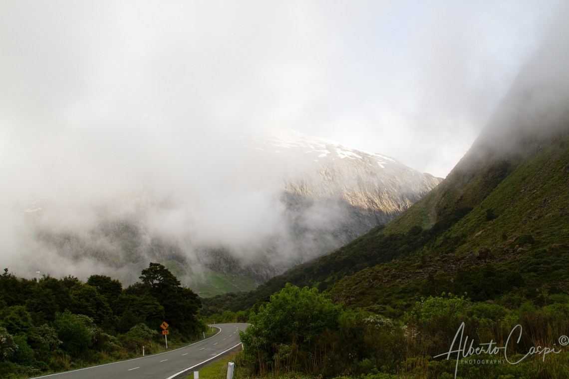 Milford Sounds